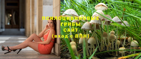 стафф Богданович